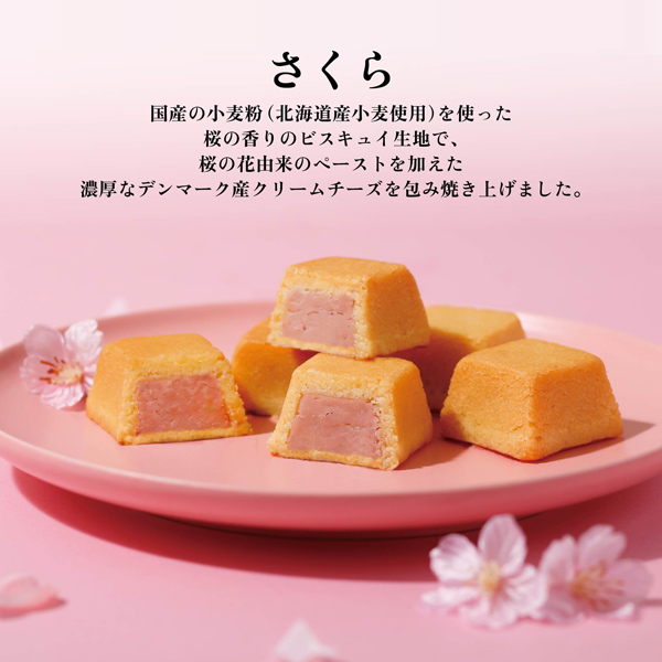 チーズケーキ3種 各2個⼊（さくら・プレーン・抹茶）│チーズケーキ