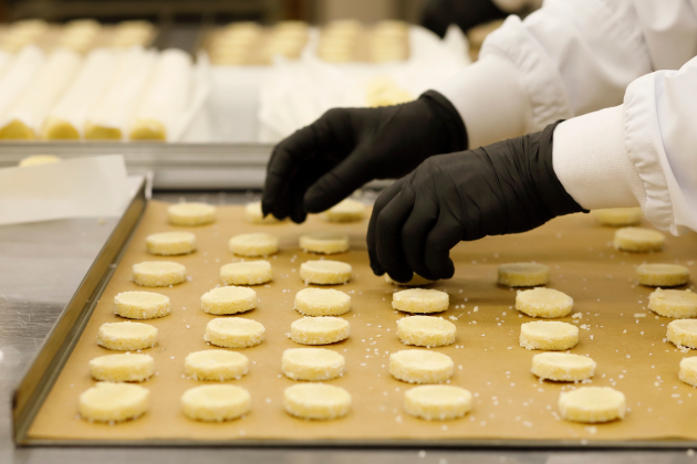 セクション画像