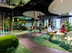 タイムライン画像