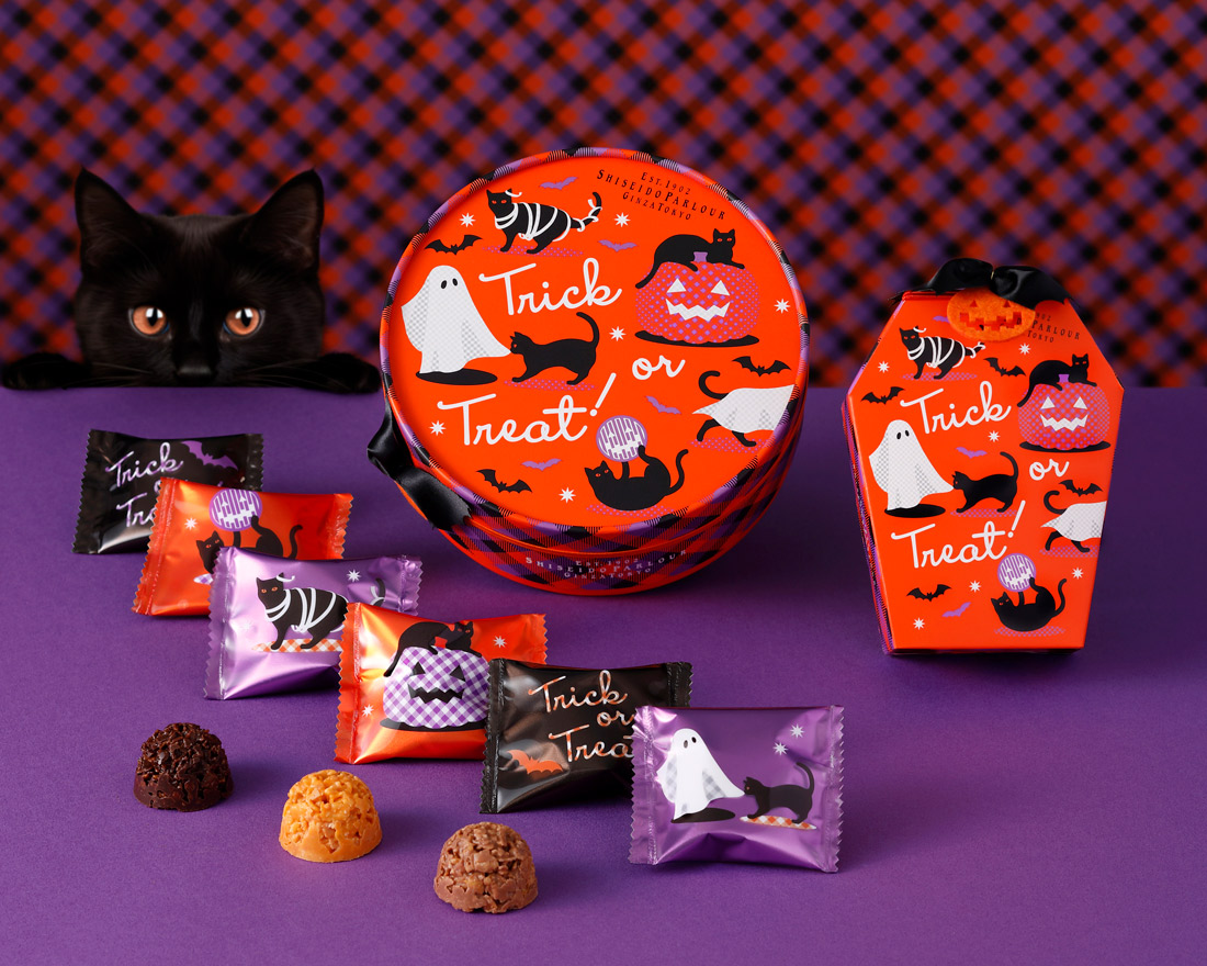 cotta Candy缶 スクエア クッキー缶 30個 クッキー缶 | 銀の森公式